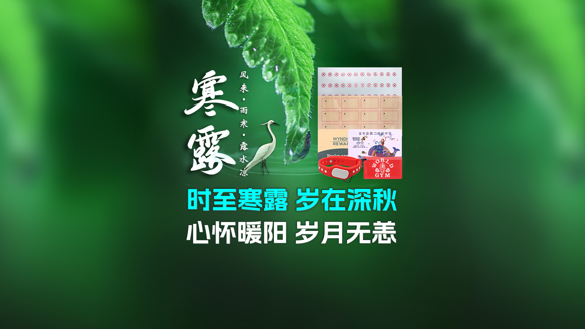 寒露至秋意濃，卡立方集團攜RFID智能卡中料木卡腕帶伴您暖度深秋